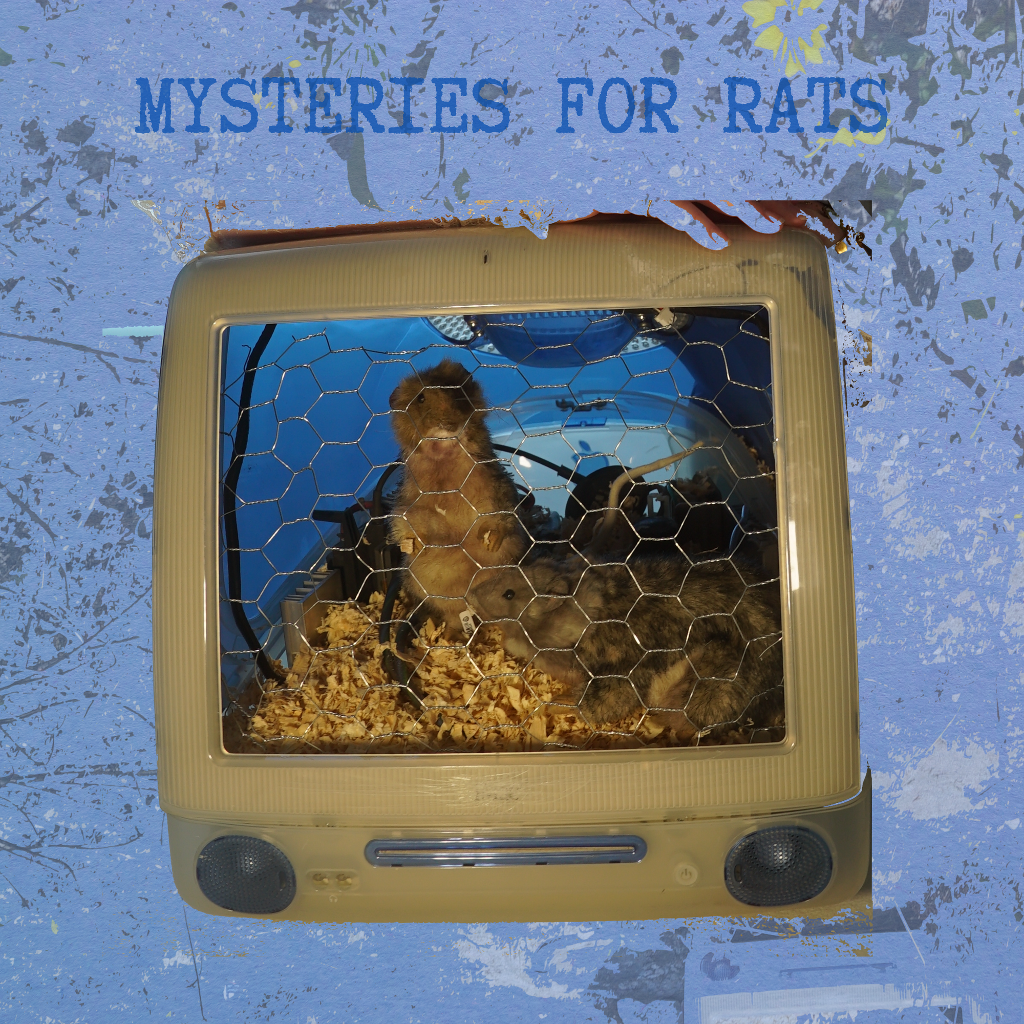 Mysteries for Rats Poster